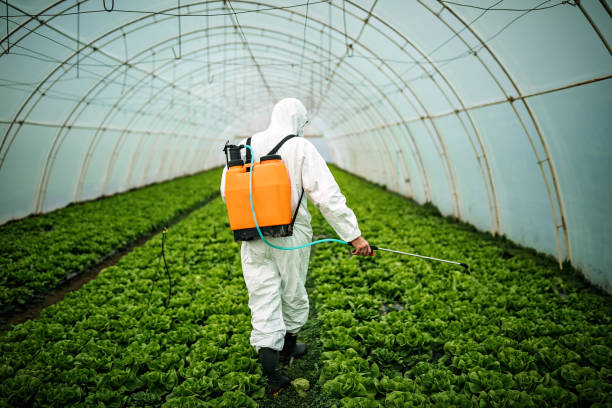 Best Best Pest Control Companies  in Federal Heights, CO
