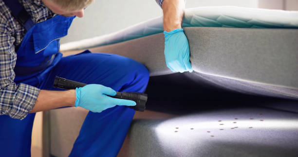 Flea Control Services in Federal Heights, CO